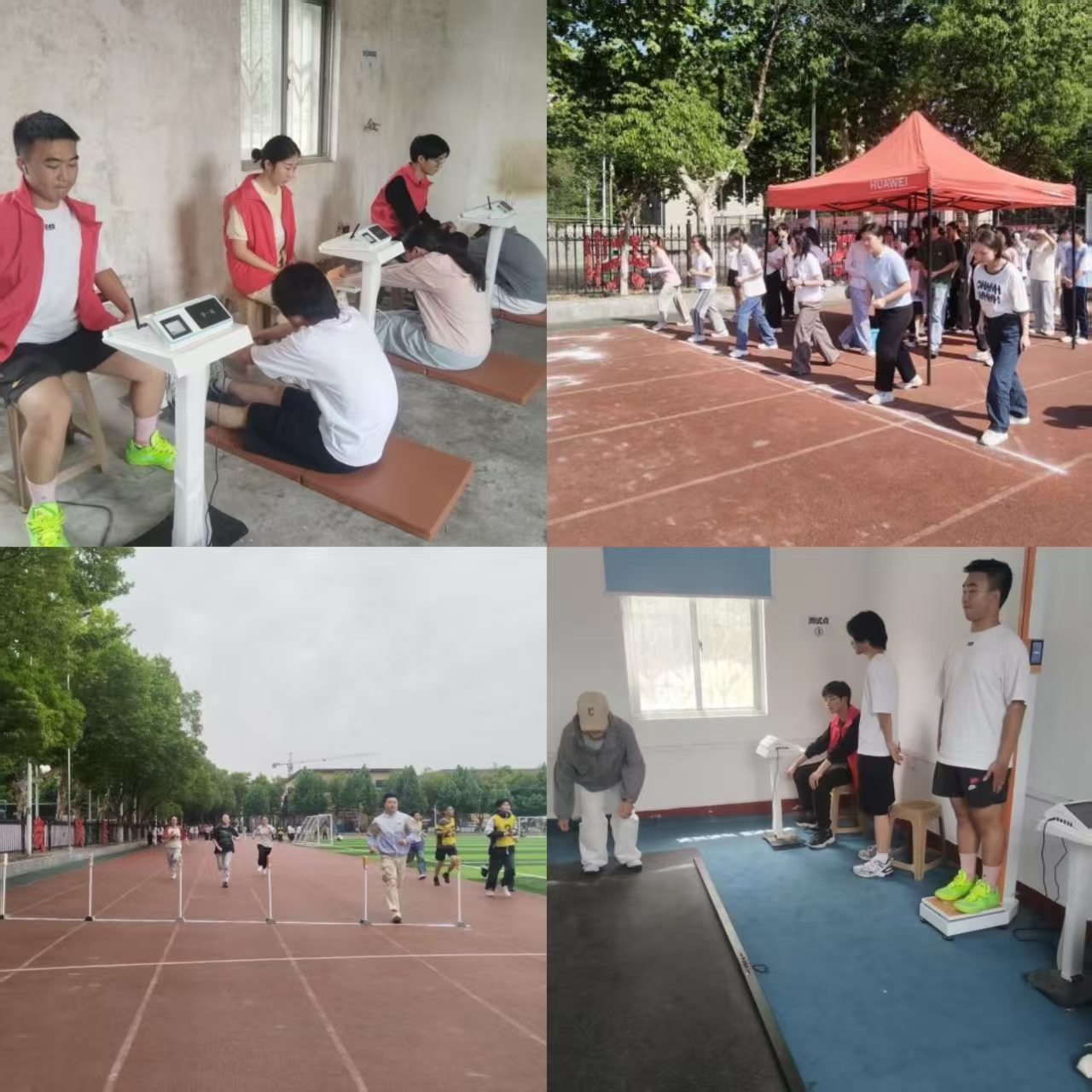 球王会体育平台网页