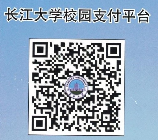 球王会体育平台网页