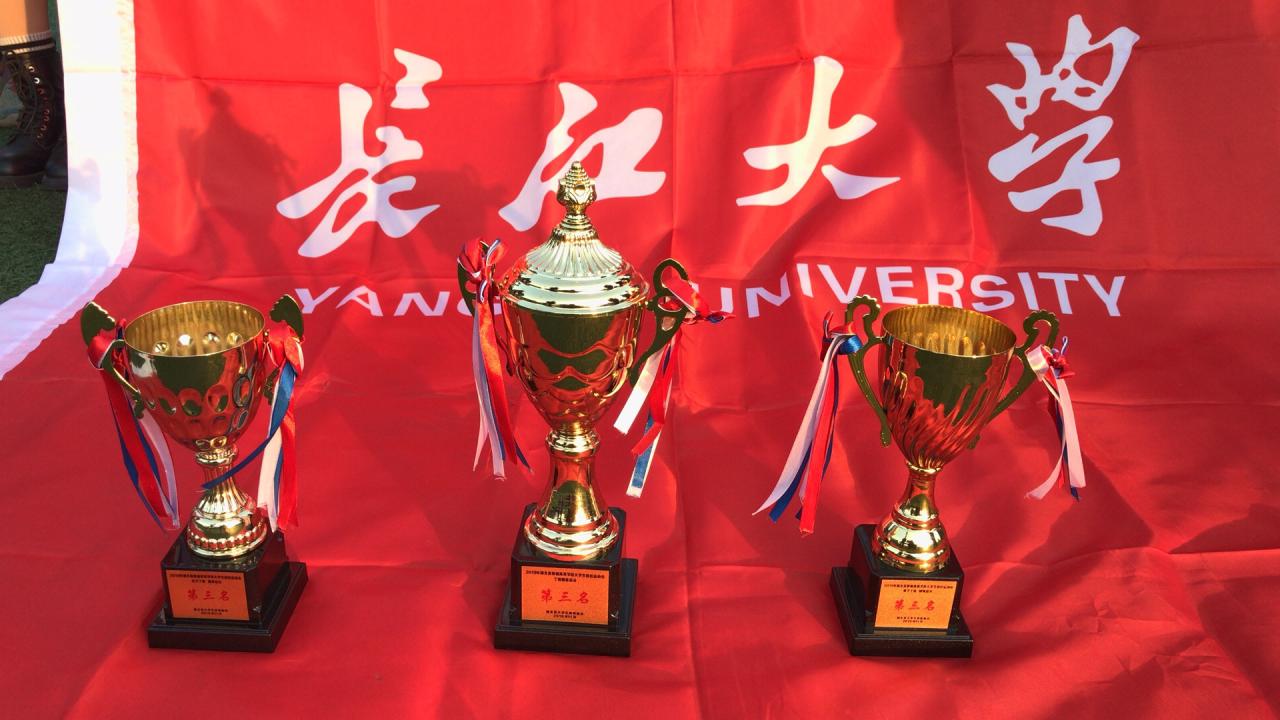 球王会体育平台网页