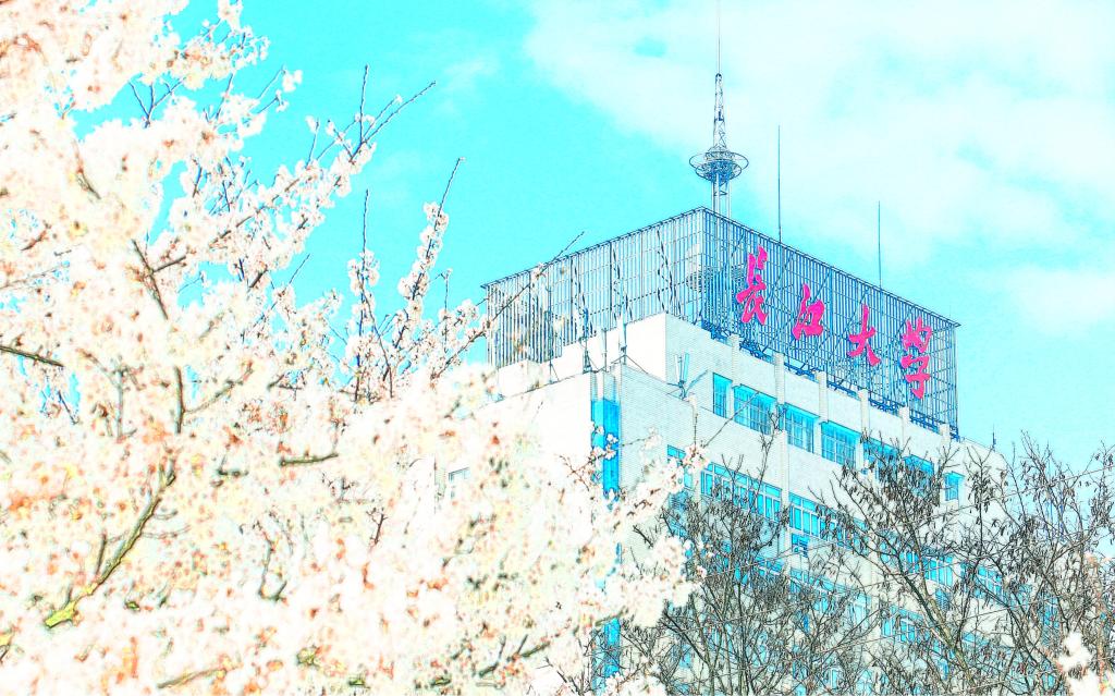 球王会体育平台网页