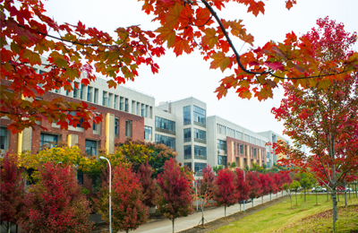 球王会体育平台网页