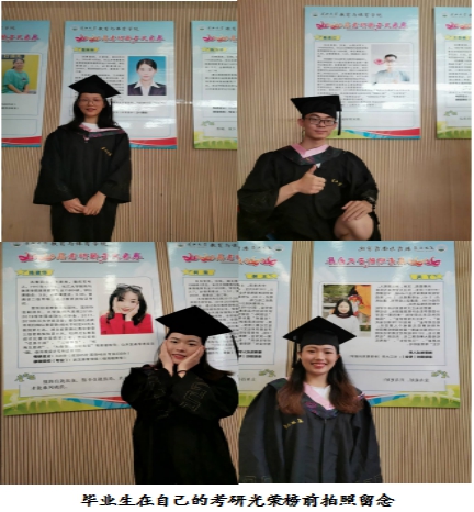 球王会体育平台网页