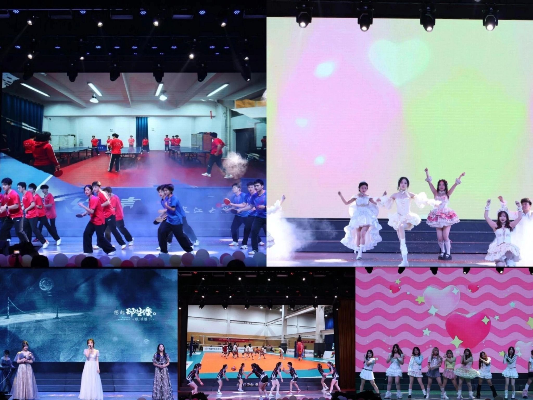 球王会体育平台网页