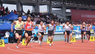 球王会体育平台网页