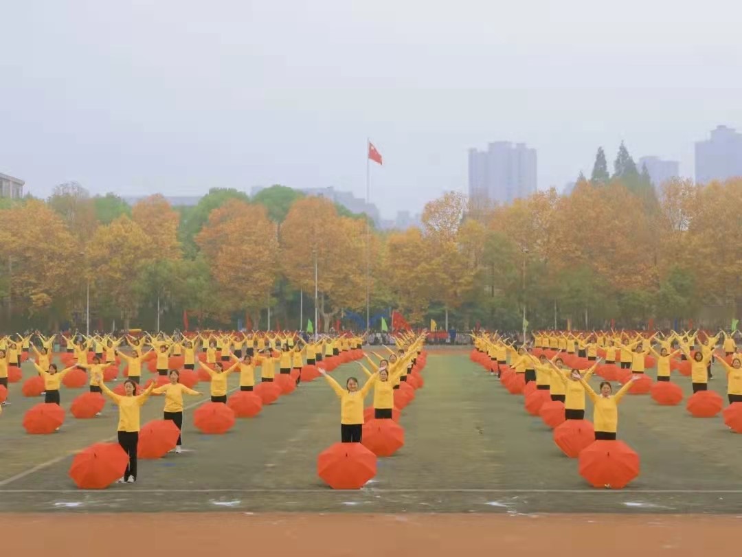 球王会体育平台网页