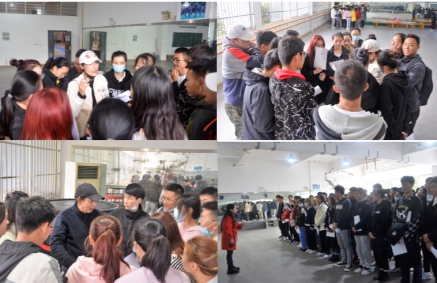 球王会体育平台网页