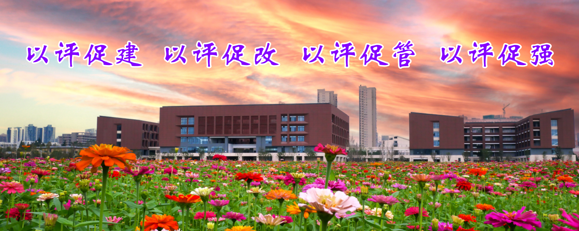 球王会体育平台网页